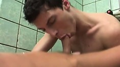 Brunette cocksucker takes a hard shaft and a dildo up his ass in the shower